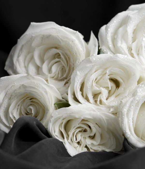 view-delicate-white-rose-flowers-scaled-e1746016798438.jpg